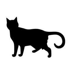 Halloween Silhouette | Spooky Ghosts, Witch, Bat, Tree, Crow, Skull, Spider, Black Cat, Tree, Broom, Pumpkin, Jack O' Lantern and Haunted House Spirits, Icon, Clipart, Decoration | Vector Illustration