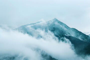 "Mystical High-Elevation Forest: Stunning Mist-Covered Mountains"