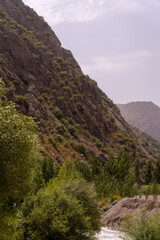 A mountain range with a forest on the side