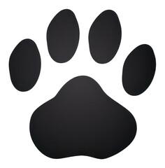 PNG  Paw print icon carnivora footprint pattern