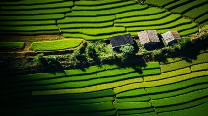 Fototapeta premium Aerial perspective vibrant agricultural fields showcasing rural landscape beauty and productivity