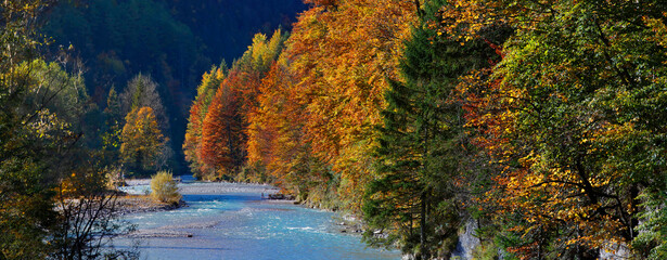 Herbstwald an der Isar, Hinterriß, Österreich, Panorama 