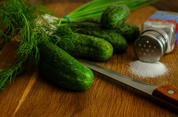 Fresh organic cucumber and dill salad for health