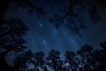 Naklejka premium Picture shot towards the sky in the middle of the night, beautiful view with lots of stars