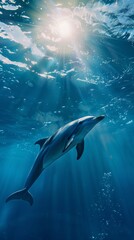 Obraz premium Dolphin swimming underwater with sunlight beams, serene ocean scene. Marine life and tranquility concept