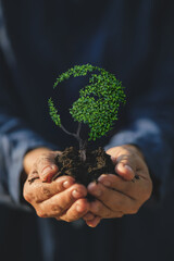 Tree in hand, concept of protecting the global environment. Vertical style.