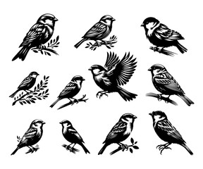Sparrow silhouette vector illustration style with white background 2nd 