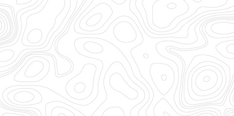 Topographic map seamless pattern isolated on white background. Fractal lines background. Topographic map like abstract backdrop. Vector illustration.