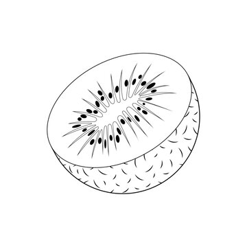 recommend clip art: Half kiwi outline with black seeds and textured skin. A vector fruit, isolated on the white background