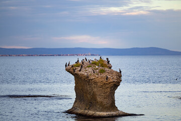 Seagulls are sitting on a rocky shore in the bay. Il Fungo a rock in the shape of a mushroom with birds on top of it.