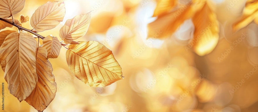 Poster autumn-themed background with close-up dried leaves on a tree branch, providing a serene and natural