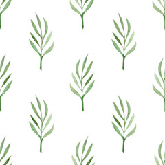 Plant pattern on white background. Watercolor hand-drawn illustration