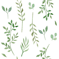 Plant pattern on white background. Watercolor hand-drawn illustration