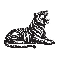 tiger on white background