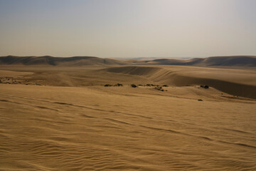 desert landscape on a sunny day