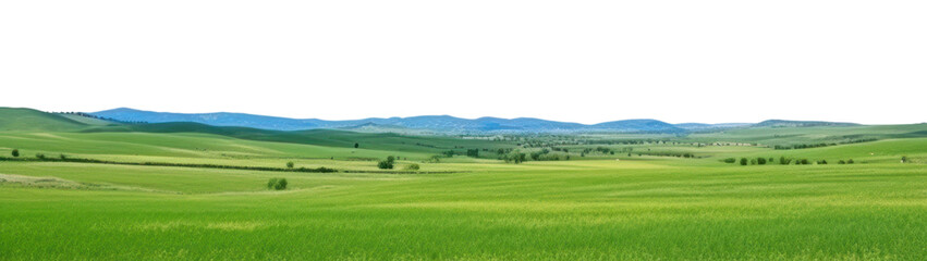Fototapeta premium PNG Panoramic grassland landscape sky outdoors horizon