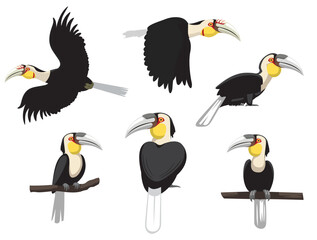 Bird Wreathed Hornbill Exotic Various Poses Cartoon Vector Character