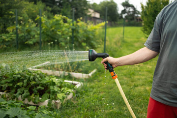 Watering the garden. Man's hand holding a water hose with a sprayer and watering the plants. High...