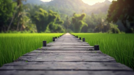 Obraz premium A wooden pathway stretches through a lush green field, leading to distant trees and mountains, bathed in sunlight.