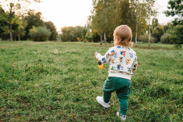 2 year old boy plays with small car toys on the green grass in park on sunny summer day. Outdoors...