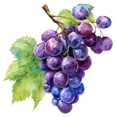 PNG Grapes grapes chandelier produce.