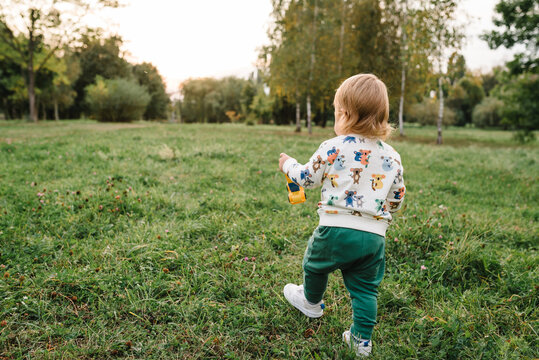 2 year old boy plays with small car toys on the green grass in park on sunny summer day. Outdoors creative activities for kids. Toddler child little walking and playing in spring garden. Back view
