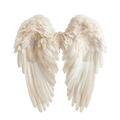 High quality image of detailed angel wings isolated on a transparent background