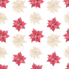 Watercolor seamless pattern with poinsettia flowers. Print with white and red flower Christmas star. Christmas and New Year holiday background, wallpaper, design and decoration.