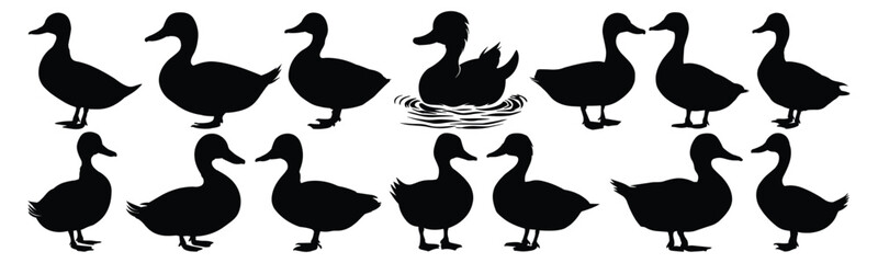 Duck silhouette set vector design big pack of illustration and icon