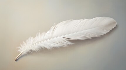 Obraz premium A white feather, its delicate form evoking a sense of peace and tranquility, resting serenely on a canvas of pure white.