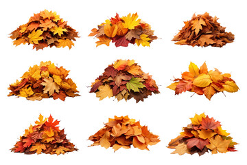 PNG pile of Autumn leaves element set, transparent background