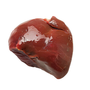 Close-up of a raw beef liver against a white background, showcasing its glossy texture and rich red color.
