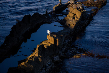 Sharp stones and rocks in the turquoise, blue sea. Beautiful seascape. Bulgarian island at sunrise.