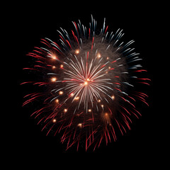  DIfferent colors and types of fireworks in the sky background