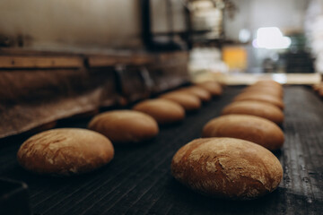 Loafs of bread in a bakery on an automated conveyor belt