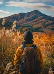 A person standing on a hilltop overlooking a valley of tall grass and mountains in the distance