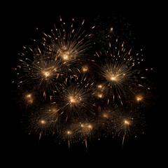 Obraz premium DIfferent colors and types of fireworks in the sky background