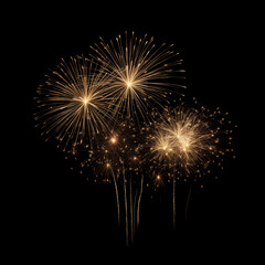 Obraz premium DIfferent colors and types of fireworks in the sky background