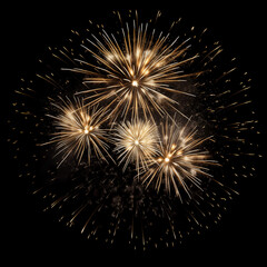 Obraz premium DIfferent colros and types of fireworks in the sky background