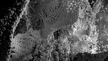 Abstract Particles