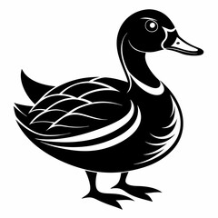 duck