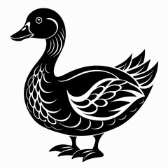 duck