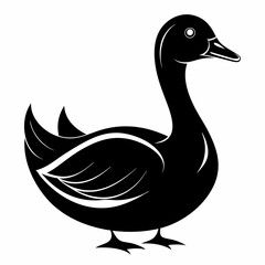 duck
