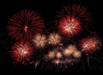 DIfferent colros and types of fireworks in the sky background