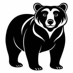bear