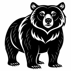 bear