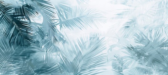 Tropical tranquility: palm leaves on a white fuzzy background