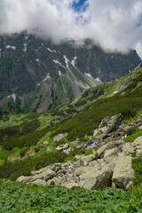 Alpine summer landscape in Tatra Mountains, Slovakia, Europe