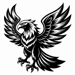 Fototapeta premium eagle