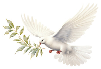 Obraz premium PNG White dove bird flying animal cockatoo wildlife